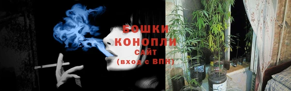 дурь Покачи