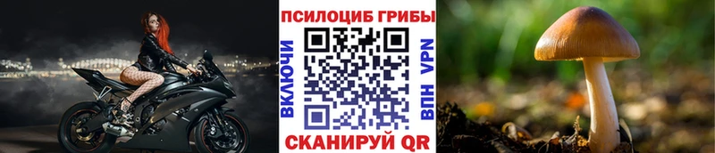 Псилоцибиновые грибы ЛСД Курильск