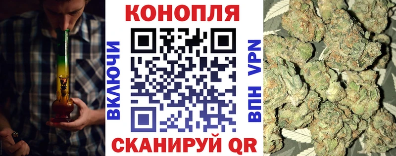 Бошки марихуана сатива Курильск